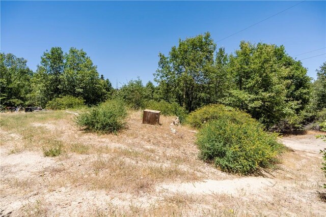 29521 Pine Ridge Dr, Cedar Glen, CA 92321 - photo 14