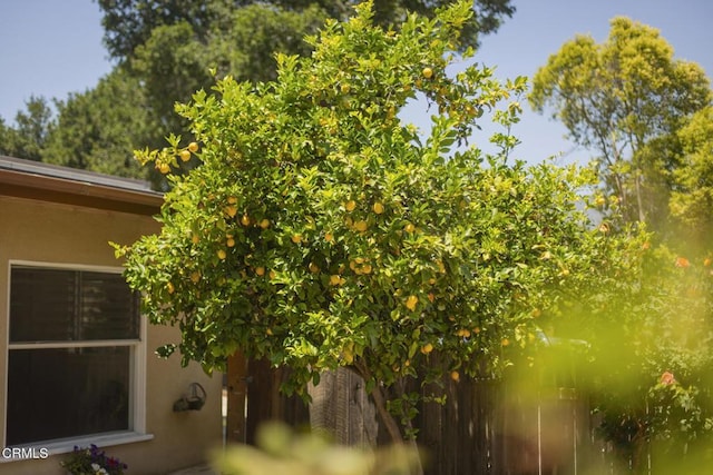 1348 Cruzero St, Ojai, CA 93023 - photo 35