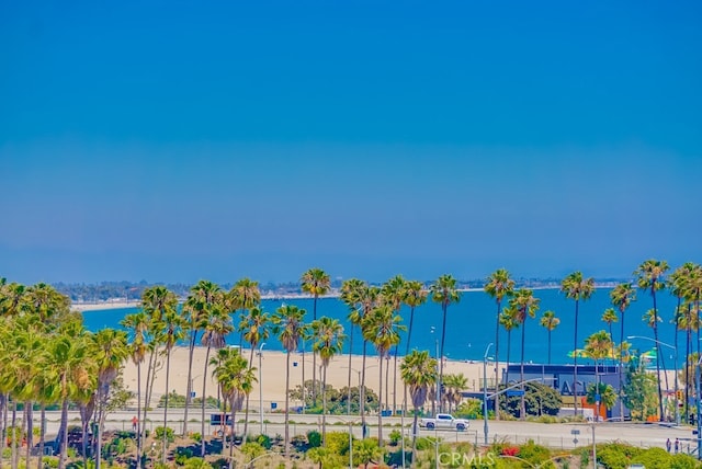 488 E Ocean Blvd Unit 502, Long Beach, CA 90802 - water view