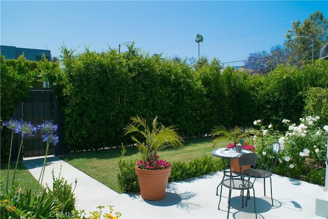 542 N Kilkea Dr, Los Angeles, CA 90048 - view of patio / terrace