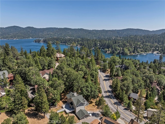 27814 N Bay Rd, Lake Arrowhead, CA 92352 - photo 4
