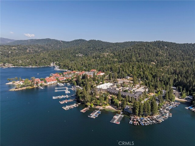 27814 N Bay Rd, Lake Arrowhead, CA 92352 - photo 10