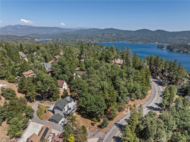 27814 N Bay Rd, Lake Arrowhead, CA 92352 - photo 5