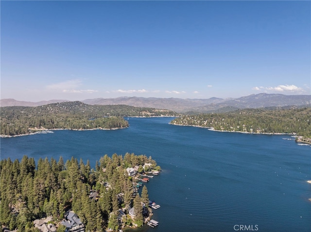 27814 N Bay Rd, Lake Arrowhead, CA 92352 - photo 11