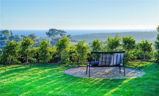 317 Calle Familia, San Clemente, CA 92672 - view of grassy yard