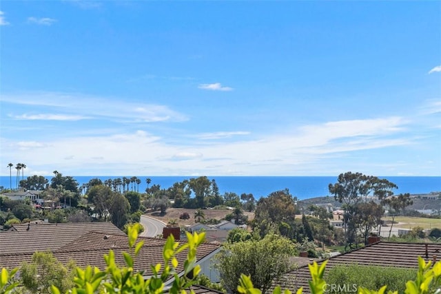 317 Calle Familia, San Clemente, CA 92672 - water view