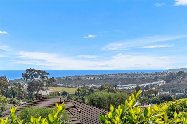 317 Calle Familia, San Clemente, CA 92672 - mountain view with a large body of water