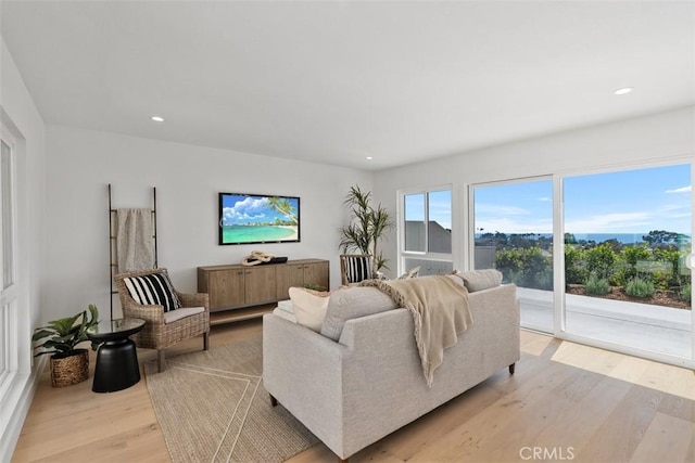 317 Calle Familia, San Clemente, CA 92672 - living room with light wood-type flooring and recessed lighting
