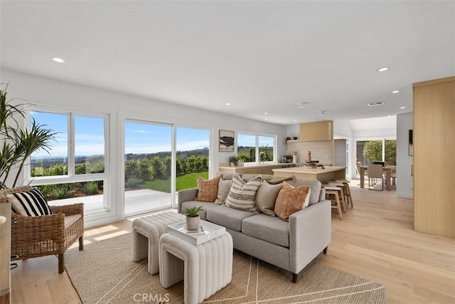 317 Calle Familia, San Clemente, CA 92672 - living room featuring healthy amount of natural light, light wood-style floors, and recessed lighting