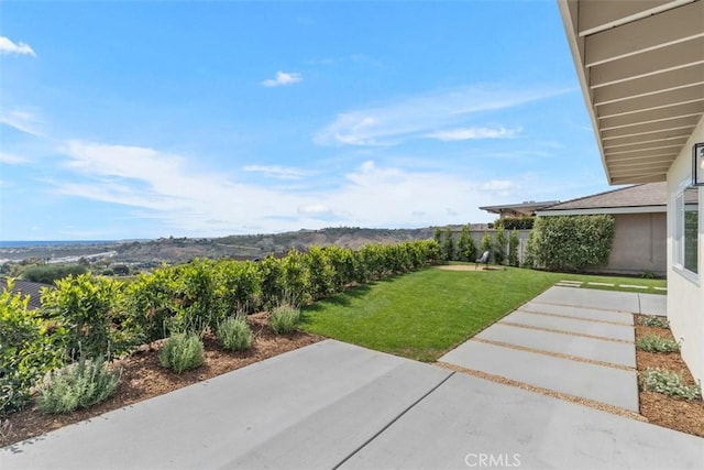 317 Calle Familia, San Clemente, CA 92672 - view of grassy yard with a patio