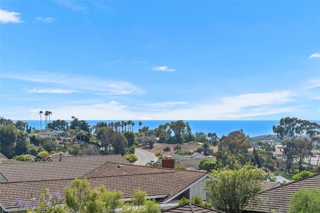 317 Calle Familia, San Clemente, CA 92672 - water view