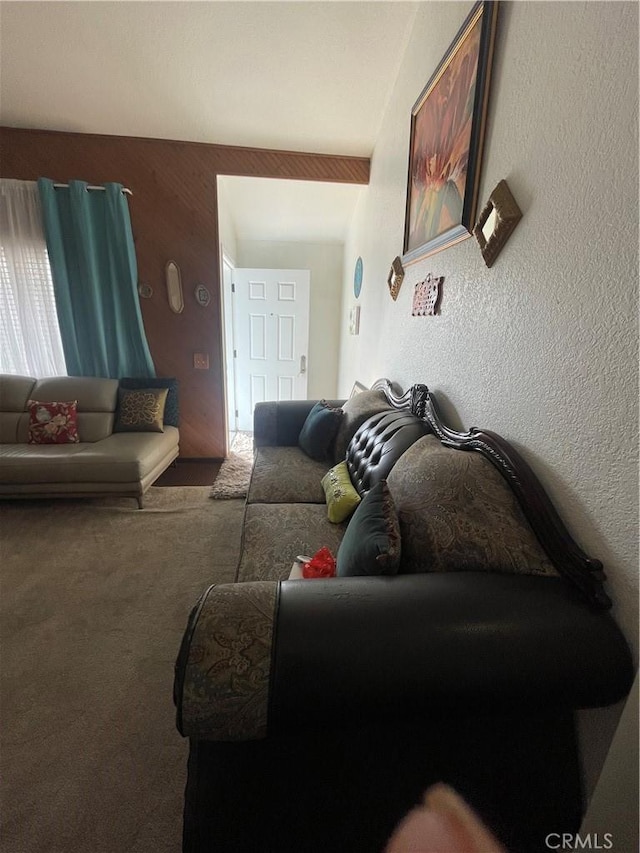 4153 N Webster Ave, Perris, CA 92571 - view of carpeted living room