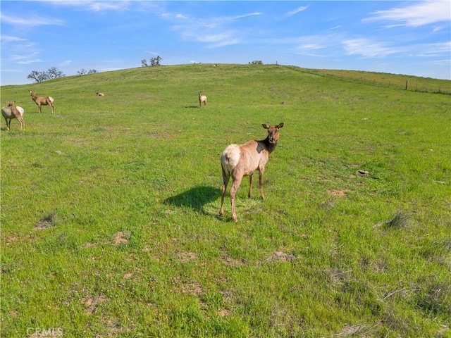 12000 Nacimiento Lake Dr, Bradley, CA 93426 - photo 3