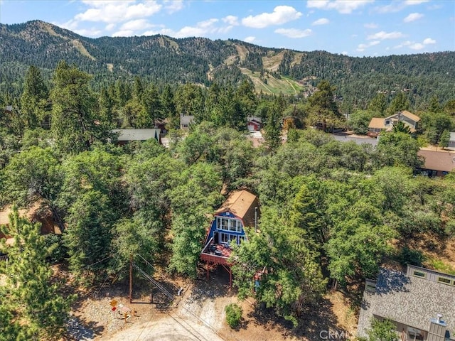 1351 Silverado Rd, Big Bear City, CA 92314 - drone / aerial view of a heavily wooded area and a mountainous background