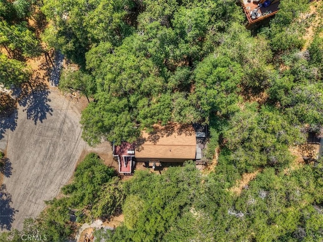 1351 Silverado Rd, Big Bear City, CA 92314 - view from above of property