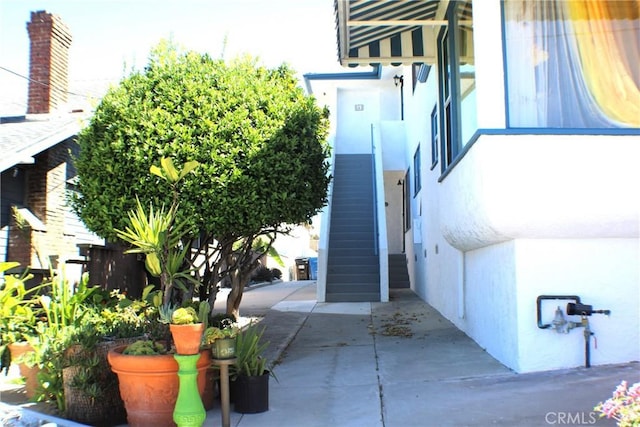 545 W 36th St, San Pedro, CA 90731 - photo 8
