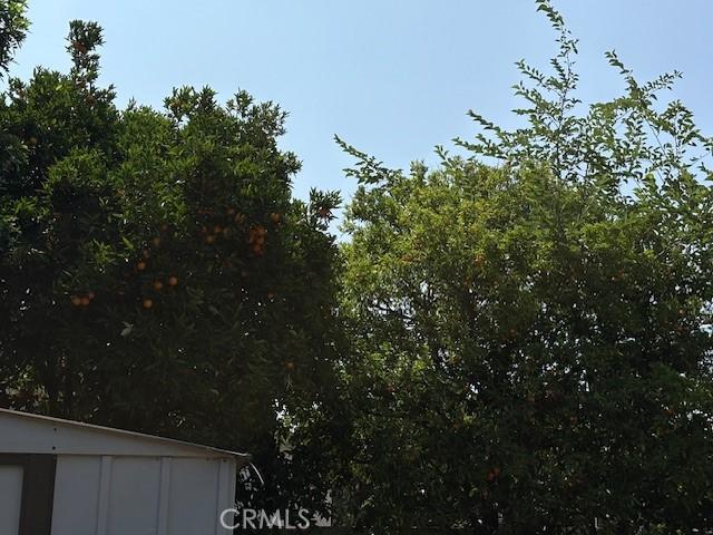 334 W Artesia St, Pomona, CA 91768 - photo 10
