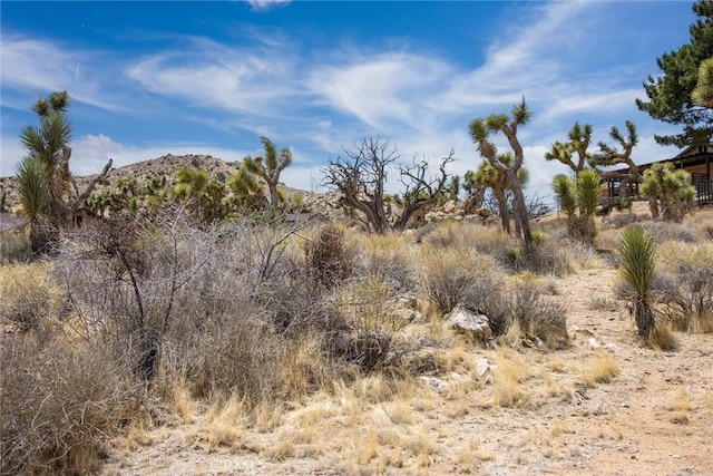 8385 Elk Ct, Yucca Valley, CA 92284