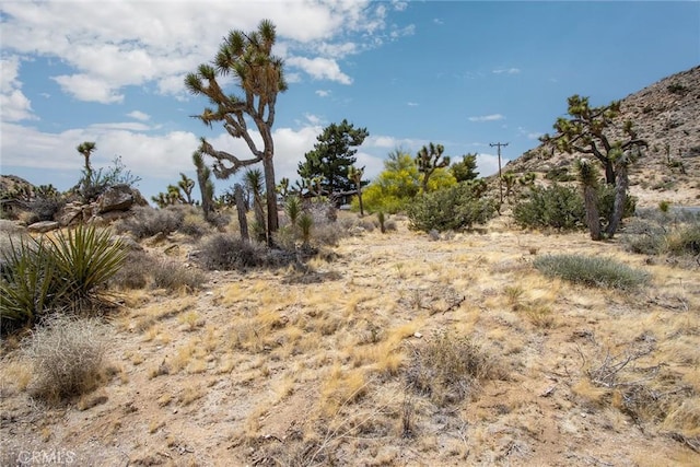 8385 Elk Ct, Yucca Valley, CA 92284