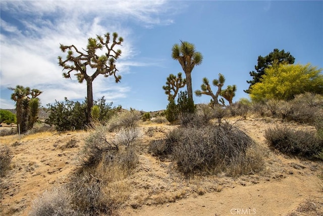 8385 Elk Ct, Yucca Valley, CA 92284