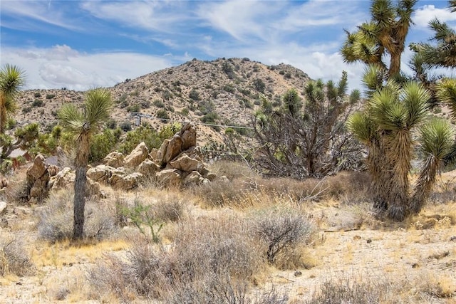 8385 Elk Ct, Yucca Valley, CA 92284