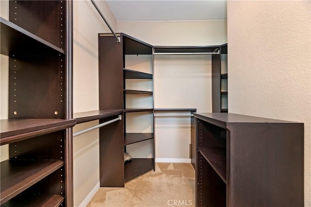 31139 Little Camille Way, Menifee, CA 92584 - spacious closet with light carpet