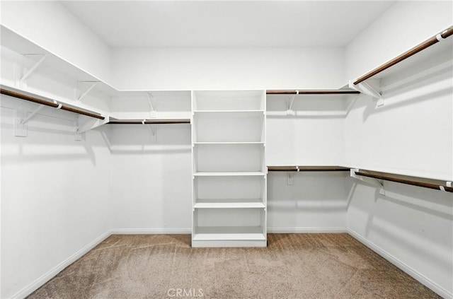 6212 Athena St, Chino, CA 91710 - walk in closet with carpet