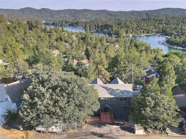 27723 Alpen Dr, Lake Arrowhead, CA 92352 - photo 10