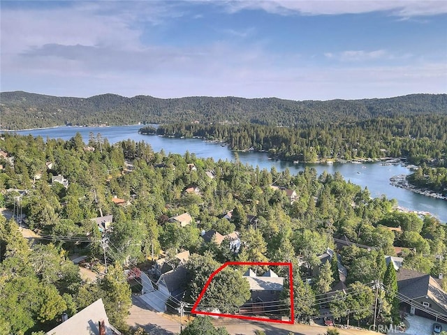 27723 Alpen Dr, Lake Arrowhead, CA 92352 - photo 12