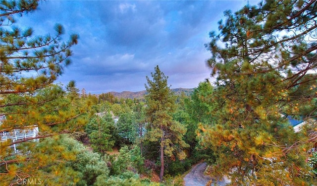 27723 Alpen Dr, Lake Arrowhead, CA 92352 - photo 51