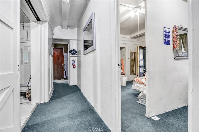 1470 W Adams Blvd, Los Angeles, CA 90007 - corridor featuring carpet