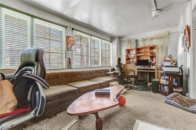 1470 W Adams Blvd, Los Angeles, CA 90007 - living room featuring carpet flooring