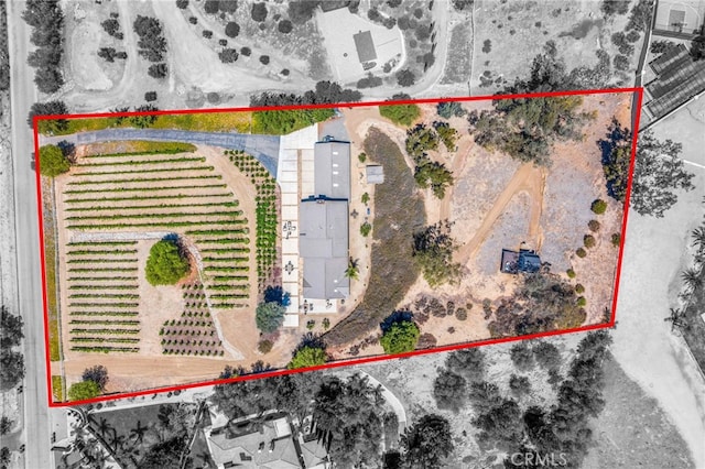 33612 Vino Way, Temecula, CA 92591 - overview of rural landscape with property parcel outlined and rows of crops