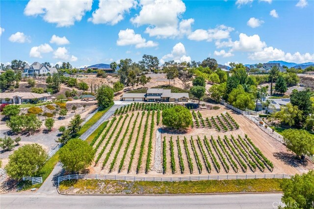 33612 Vino Way, Temecula, CA 92591 - view of rural area featuring large plots for crops and a mountainous background