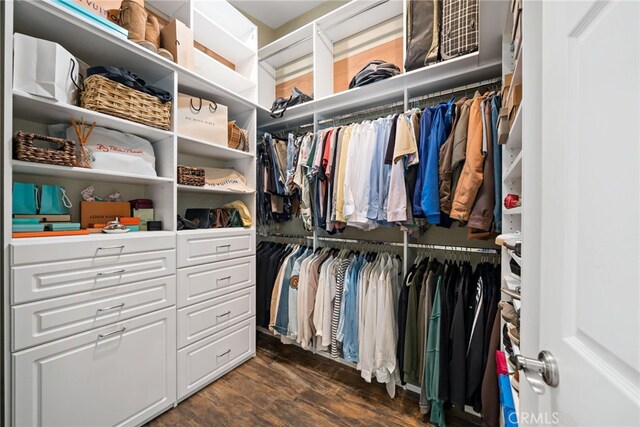 33612 Vino Way, Temecula, CA 92591 - spacious closet with dark wood-type flooring