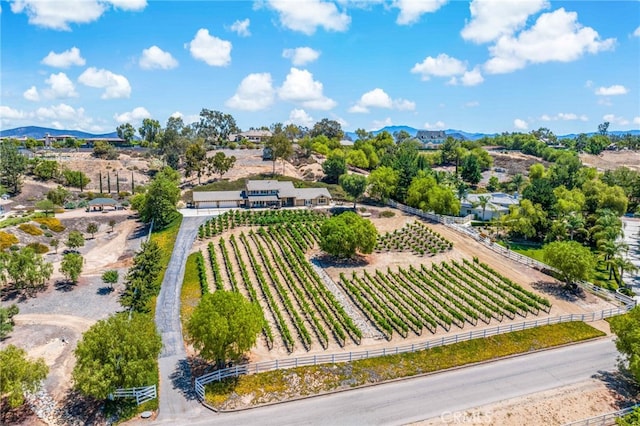 33612 Vino Way, Temecula, CA 92591 - aerial view of a mountain backdrop and rows of crops