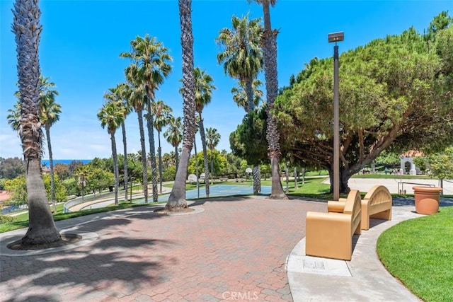 239 Via Presa, San Clemente, CA 92672 - view of community