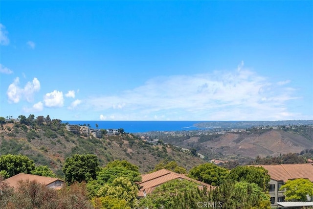 239 Via Presa, San Clemente, CA 92672 - mountain view
