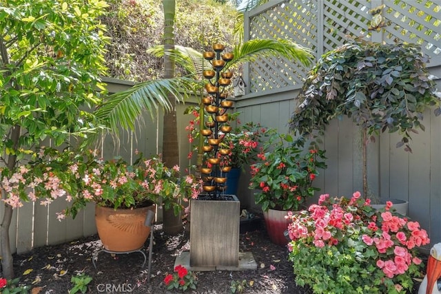 239 Via Presa, San Clemente, CA 92672 - view of yard