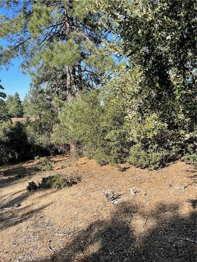 0 Valley View Dr, Idyllwild, CA 92561 - photo 4
