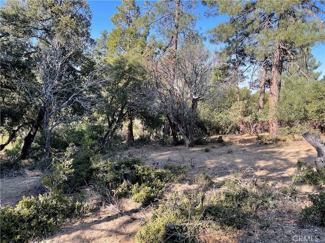 0 Valley View Dr, Idyllwild, CA 92561 - photo 2