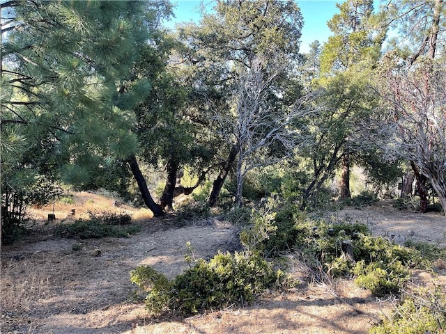 0 Valley View Dr, Idyllwild, CA 92561 - photo 3