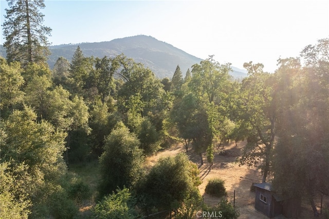 50128 Deer Meadow Way, Oakhurst, CA 93644 - mountain view
