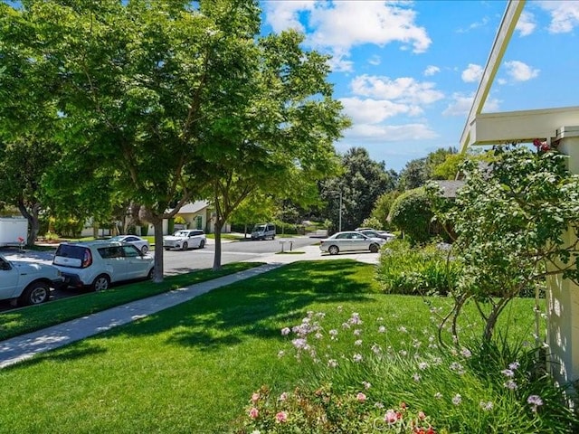 24721 Airville Ave, Newhall, CA 91321 - photo 16
