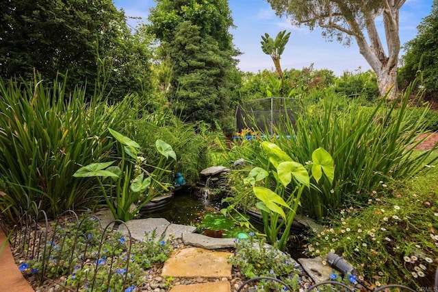 2702 Jacaranda Ave, Carlsbad, CA 92009 - view of yard with a small pond and a trampoline