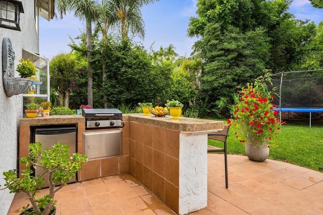 2702 Jacaranda Ave, Carlsbad, CA 92009 - view of patio / terrace featuring a trampoline and area for grilling