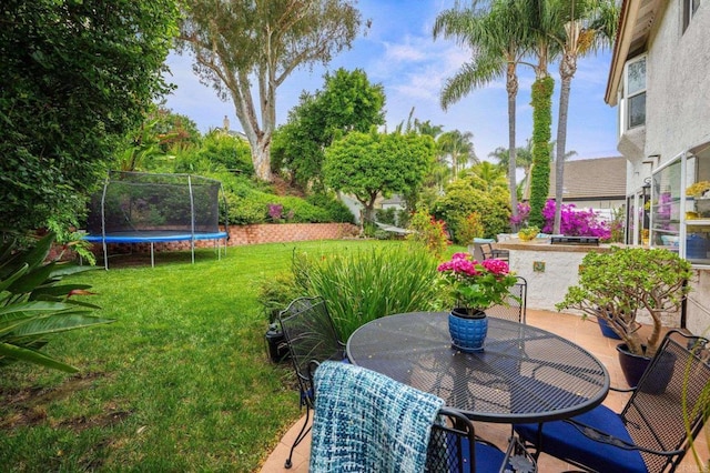 2702 Jacaranda Ave, Carlsbad, CA 92009 - view of grassy yard with a trampoline, a patio, and outdoor dining space