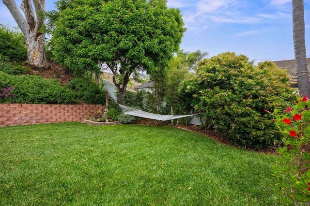 2702 Jacaranda Ave, Carlsbad, CA 92009 - view of green lawn