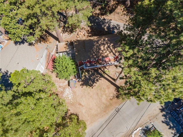 2548 Secret Dr, Running Springs, CA 92382 - view of subject property
