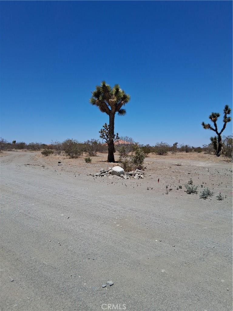 0 Danbury Rd, Phelan, CA 92371 - photo 3